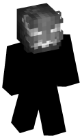 Skinfile