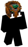 Skinfile