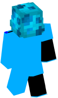 Skinfile