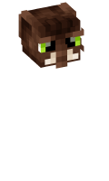Skinfile