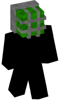 Skinfile