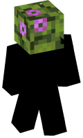 Skinfile