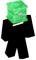 Skinfile