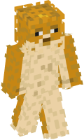 Skinfile