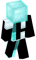 Skinfile