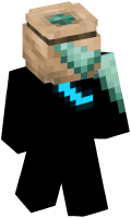 Skinfile