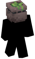 Skinfile