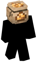 Skinfile