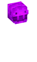 Skinfile