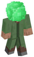 Skinfile