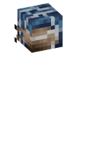 Skinfile