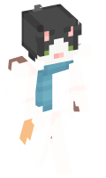 Skinfile