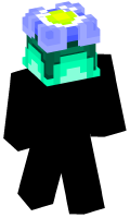 Skinfile