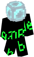 Skinfile