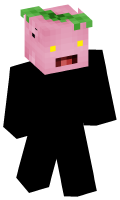 Skinfile