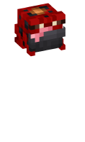 Skinfile