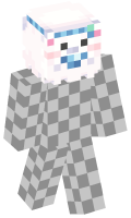 Skinfile