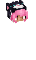 Skinfile