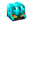 Skinfile