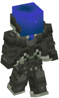 Skinfile
