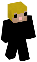 Skinfile