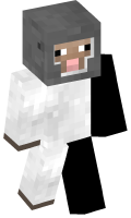 Skinfile