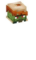 Skinfile