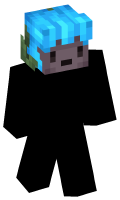 Skinfile