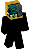 Skinfile