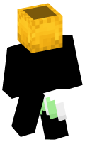 Skinfile