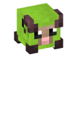 Skinfile