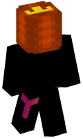 Skinfile