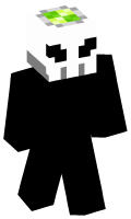 Skinfile