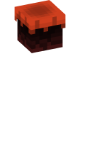 Skinfile