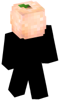 Skinfile