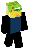 Skinfile