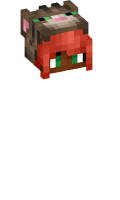 Skinfile