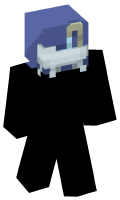Skinfile