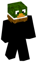 Skinfile
