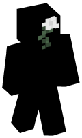 Skinfile