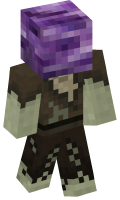 Skinfile