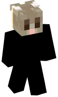 Skinfile
