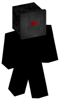 Skinfile