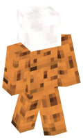Skinfile