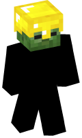Skinfile