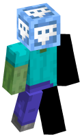 Skinfile