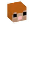 Skinfile
