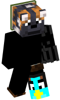 Skinfile
