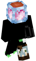 Skinfile