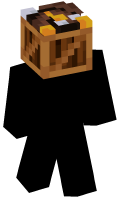 Skinfile
